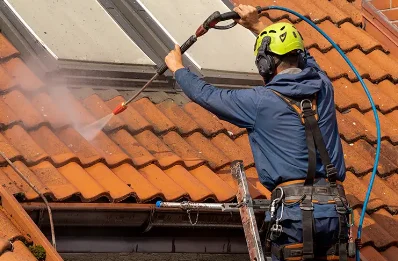 Démoussage et hydrofuge de toiture à Janvry